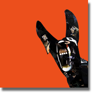 E Ore - Orange E Ore - Orange